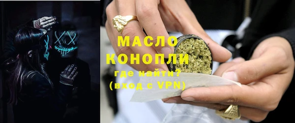 стаф Богородск
