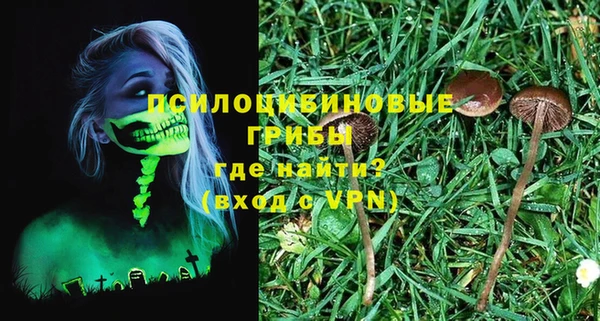 винт Богородицк